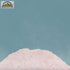 Himalayan Chef Pink Salt Fine Grain, Plastic Jar-5 lbs | 2 Pack